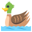:duck: